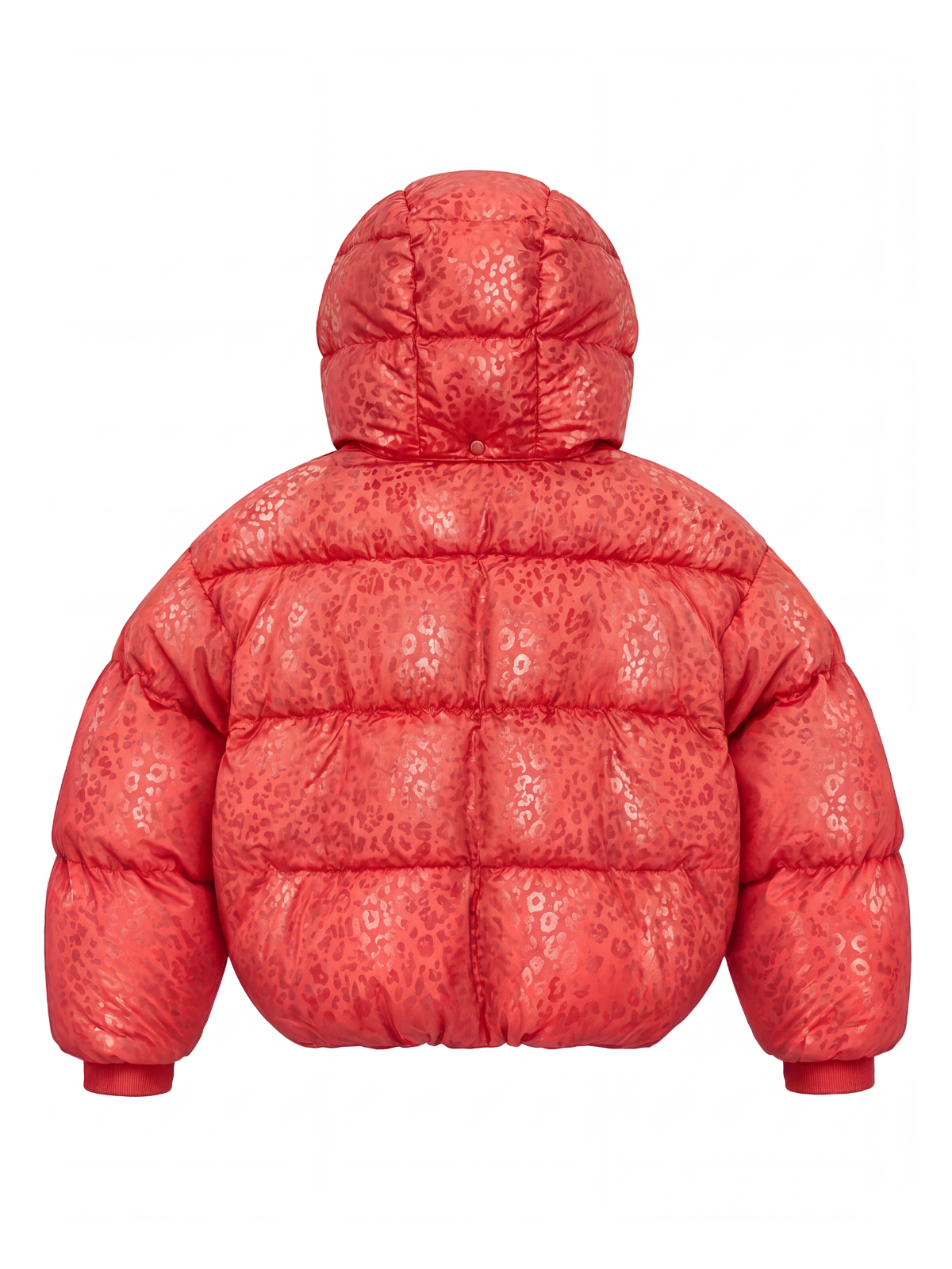 LEO PUFFER SALMON